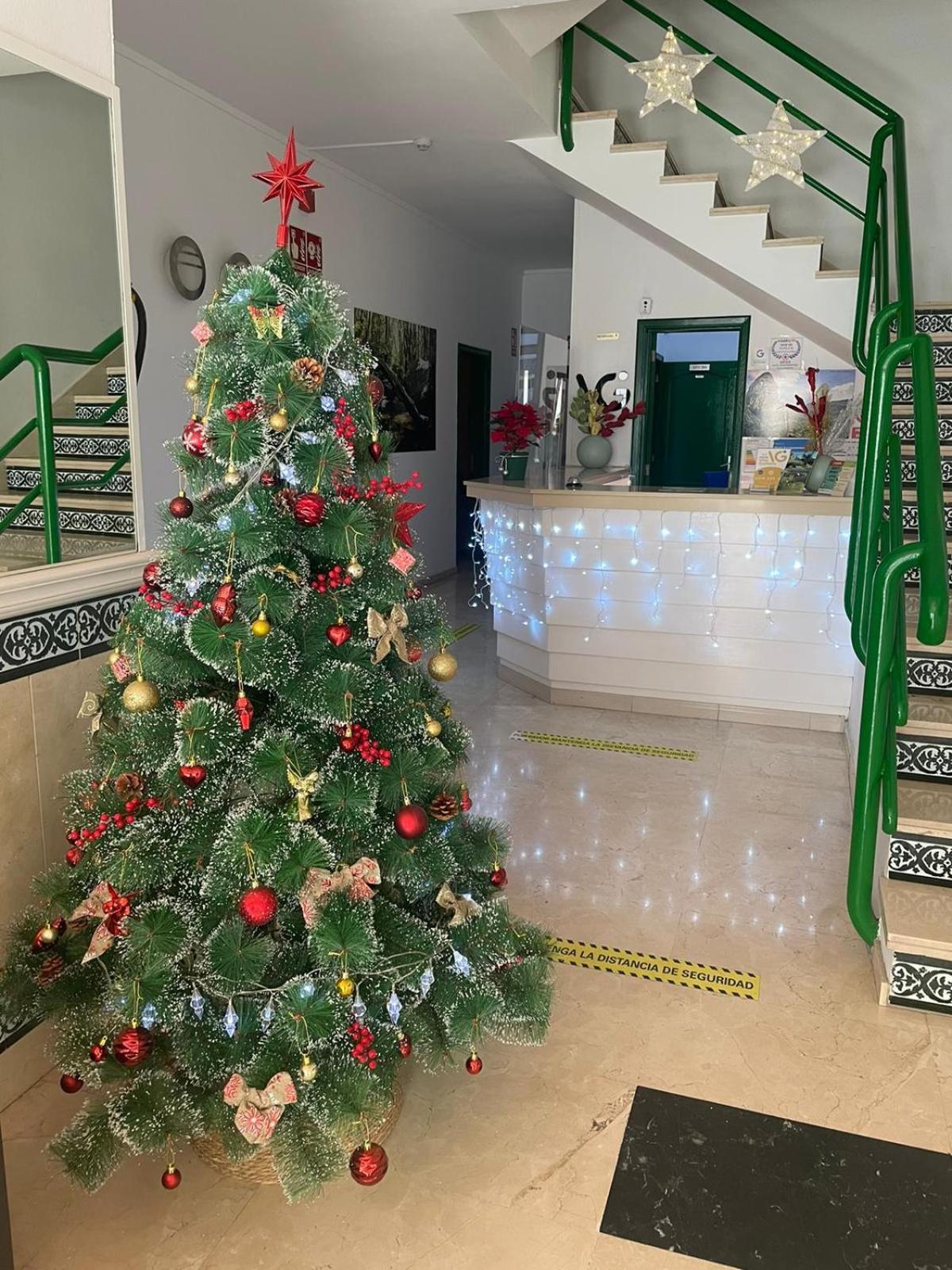 Aparthotel Gomera